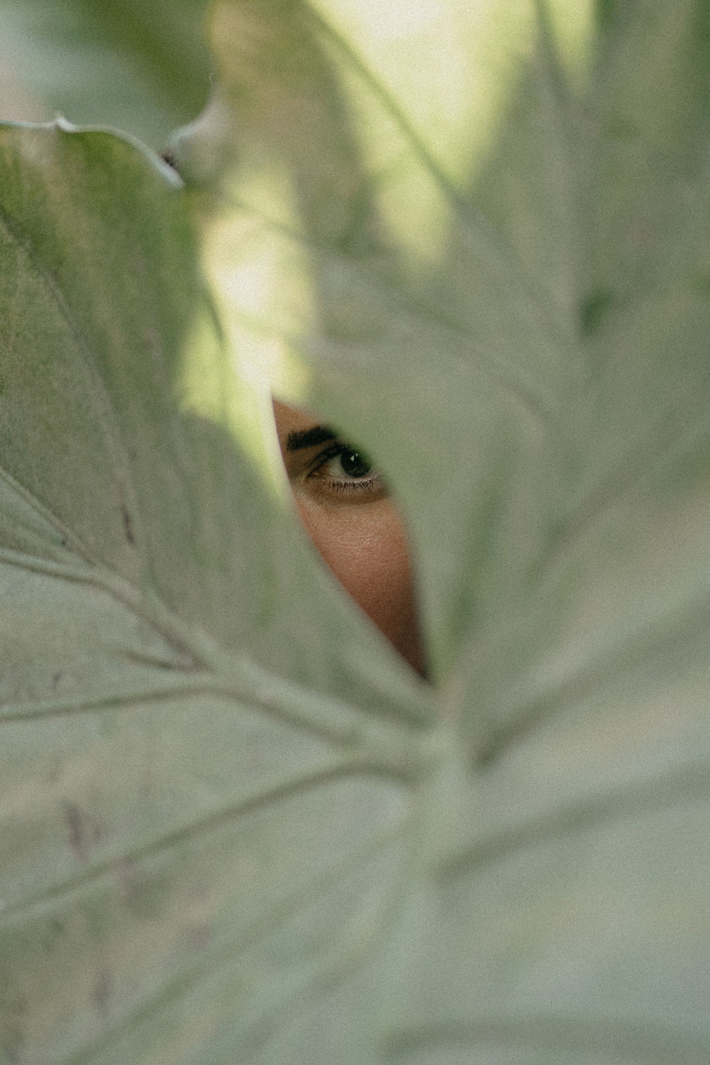 Mirada de D&eacute;bora Torrente asomando entre las hojas de una planta