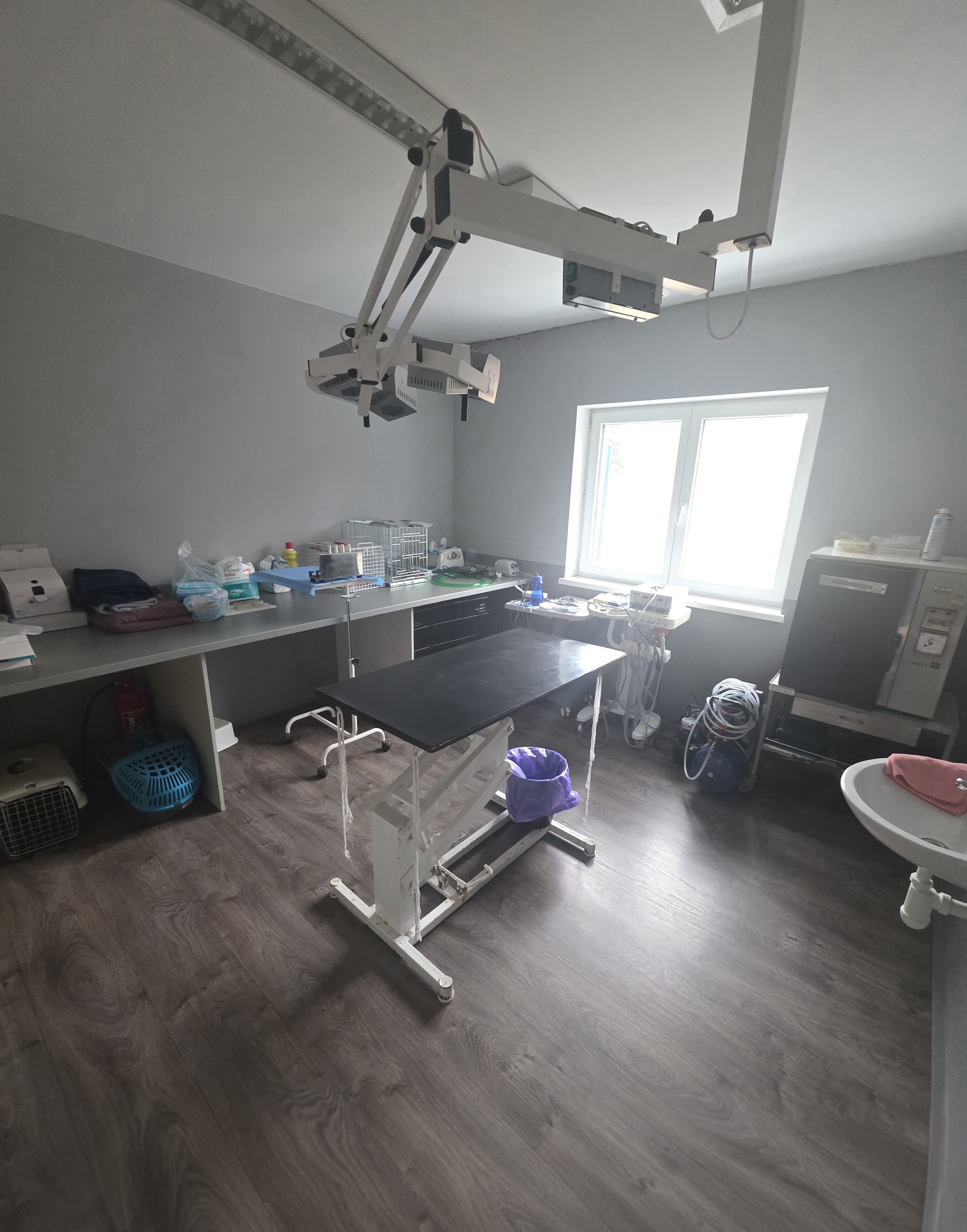 Prostory veterinární ordinace v Sokolově — fotografie 1