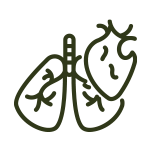 Heart icon