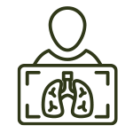 Lungs icon
