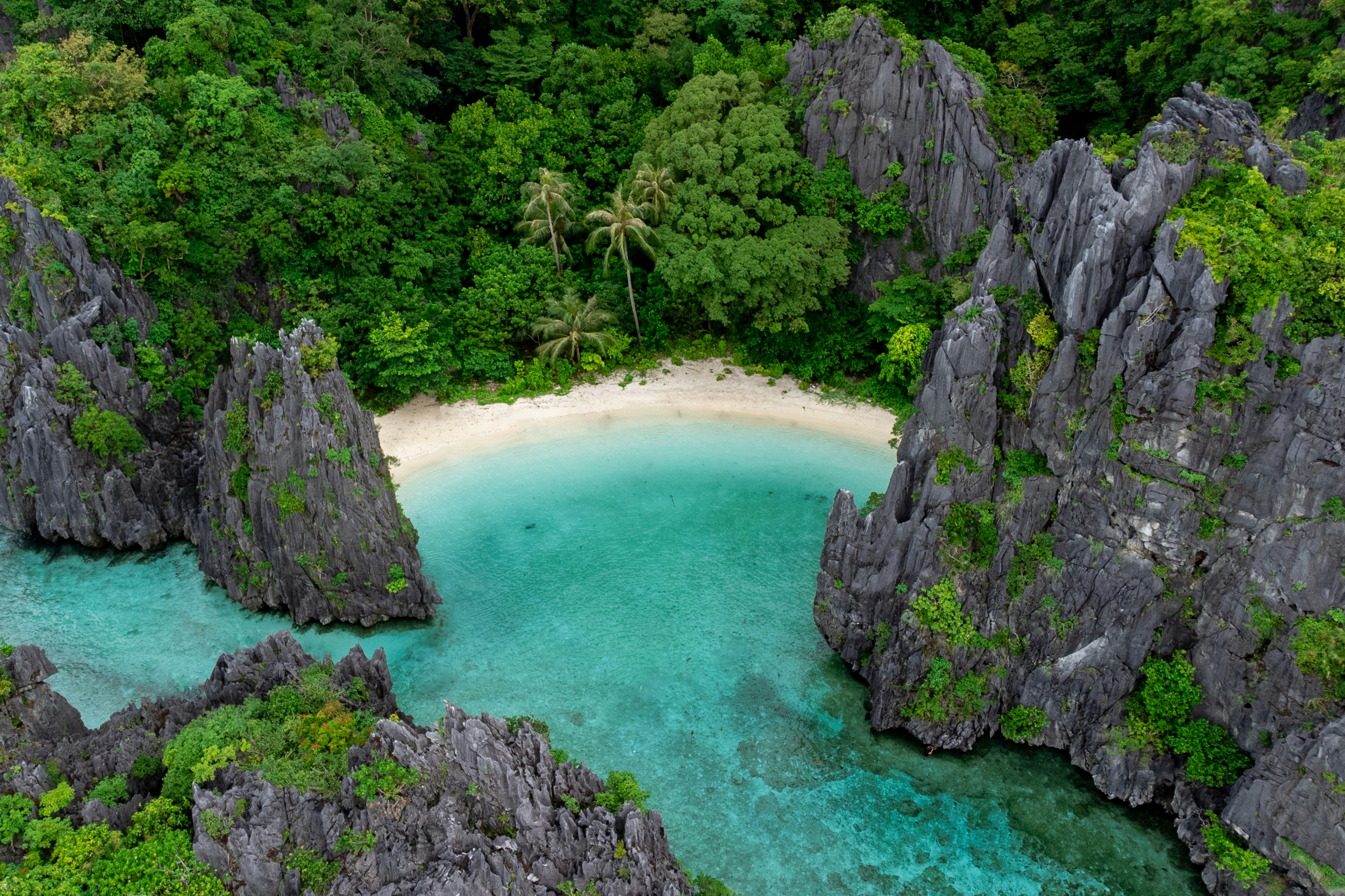 Coron 3D2N Super Ultimate Coron