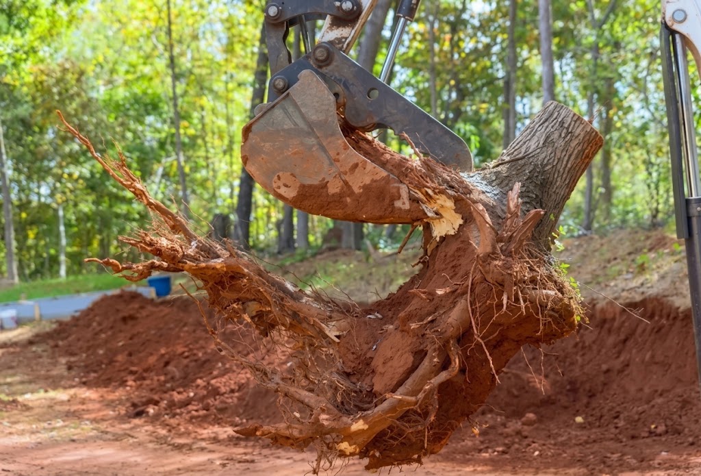 Professional land clearing and property preparation services