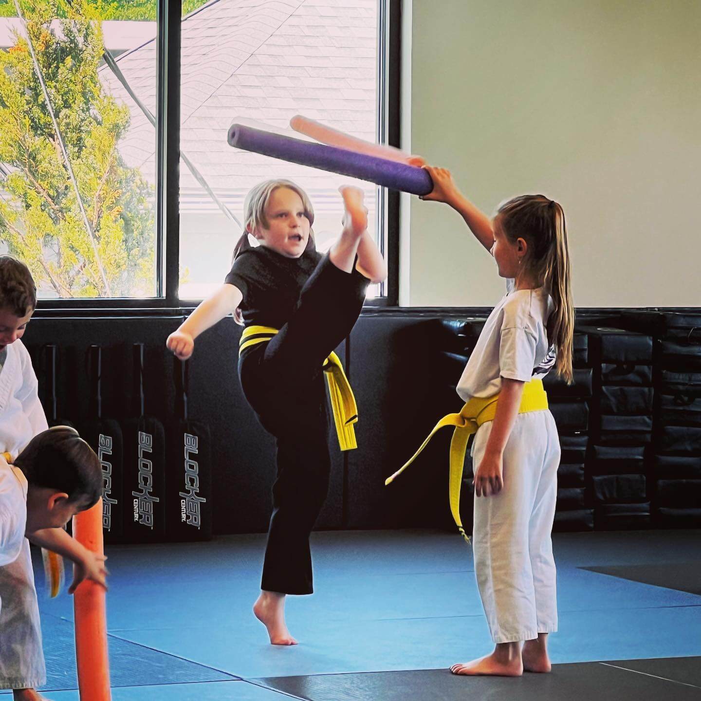 Little Dragons martial arts class