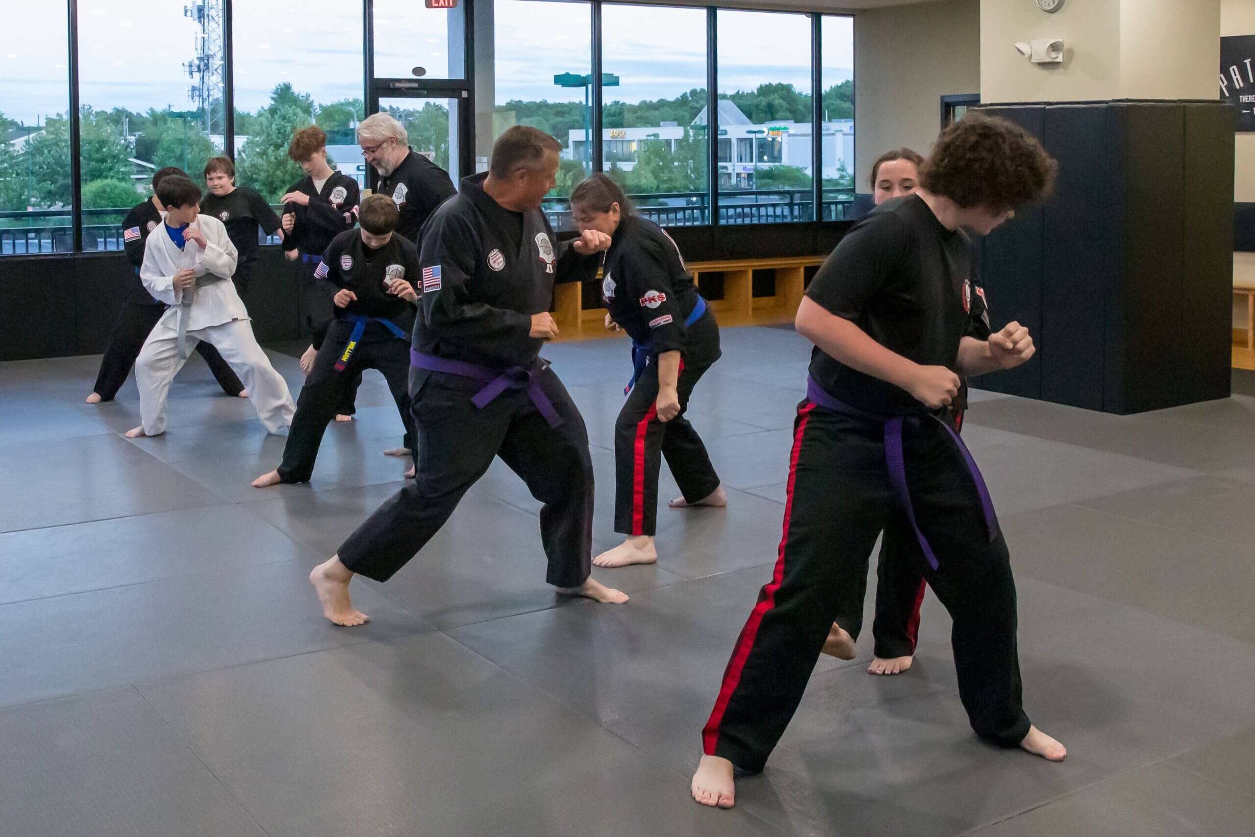 Adults Karate martial arts class