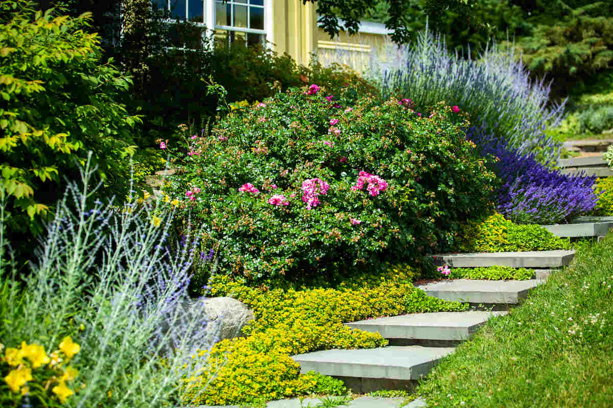 Completed landscape with a paver patio, retaining wall, and new plantings