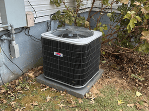 {{ custom_values.service_1 }} in {{custom_values.area_5})