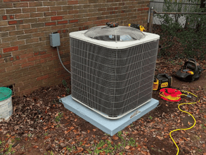 {{ custom_values.service_3 }} in {{custom_values.area_2})