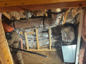 {{ custom_values.service_3 }} in {{custom_values.area_4})