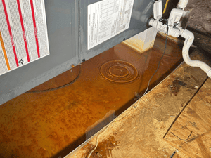 {{ custom_values.service_2 }} in {{custom_values.area_2})