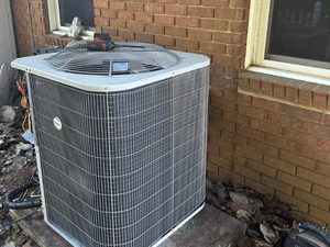 {{ custom_values.service_3 }} in {{custom_values.area_6})