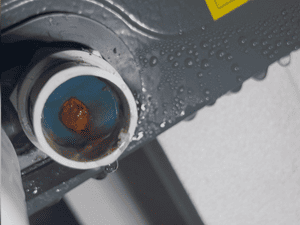 {{ custom_values.service_1 }} in {{custom_values.area_2})