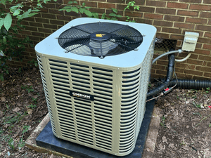 {{ custom_values.service_2 }} in {{custom_values.area_1})