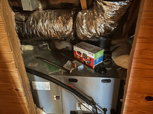 {{ custom_values.service_3 }} in {{custom_values.area_5})