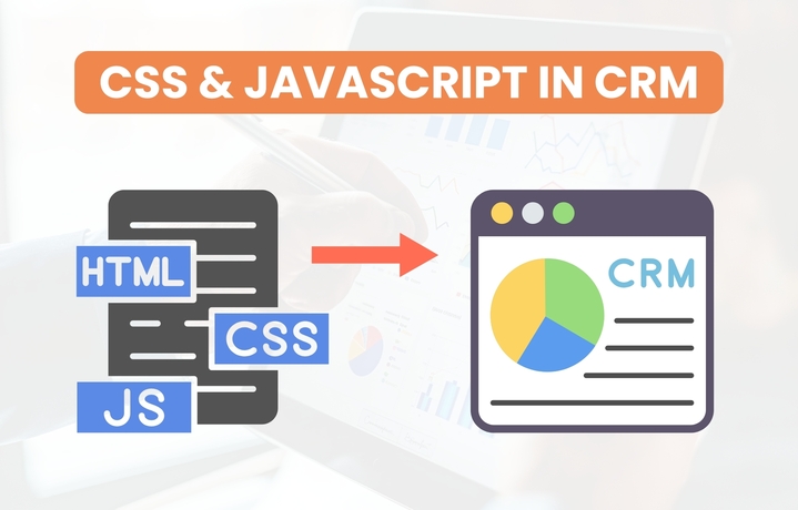 CSS & Java Script in CRM