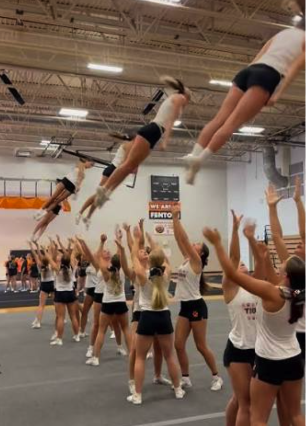 Bi-Sections practice