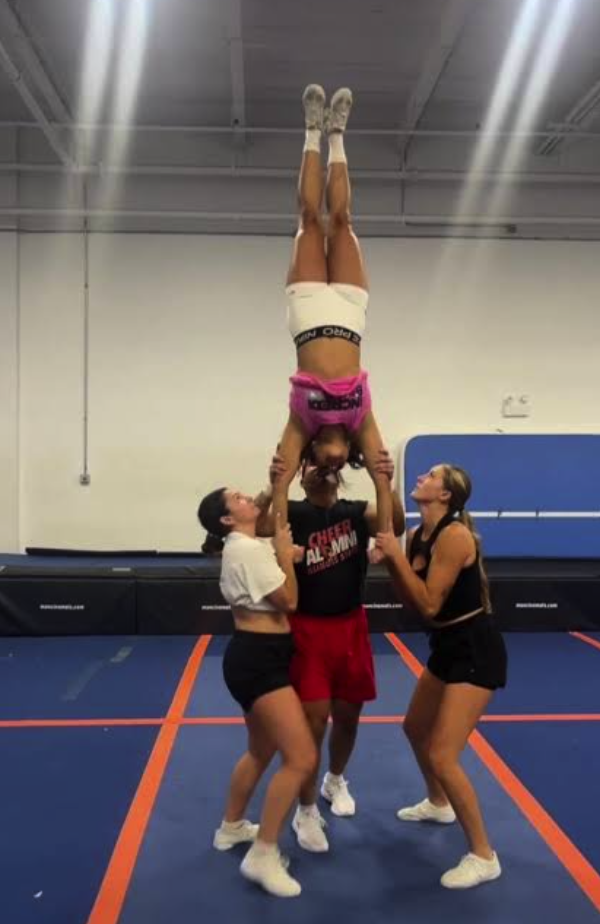Bi-Sections practice