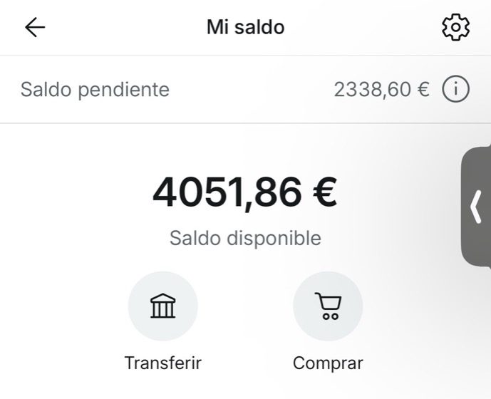 Saldo de Gabi: 2.338,60 € pendientes