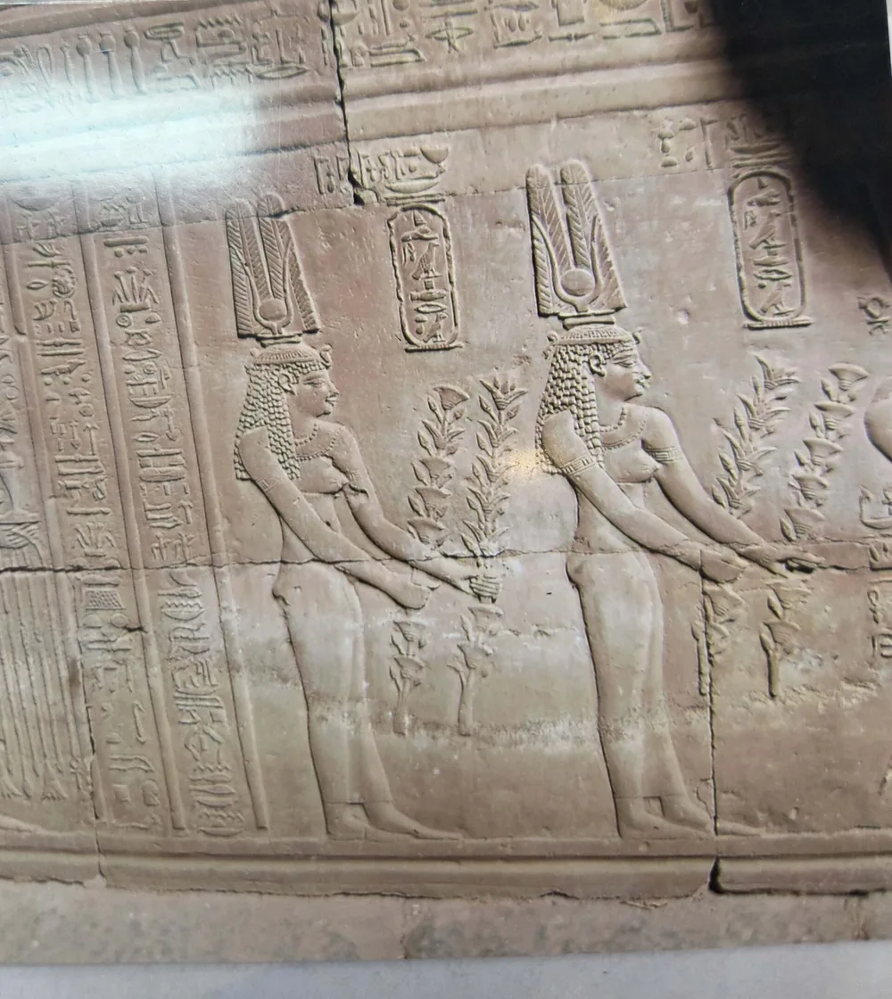 Ancient Egyptian relief carving