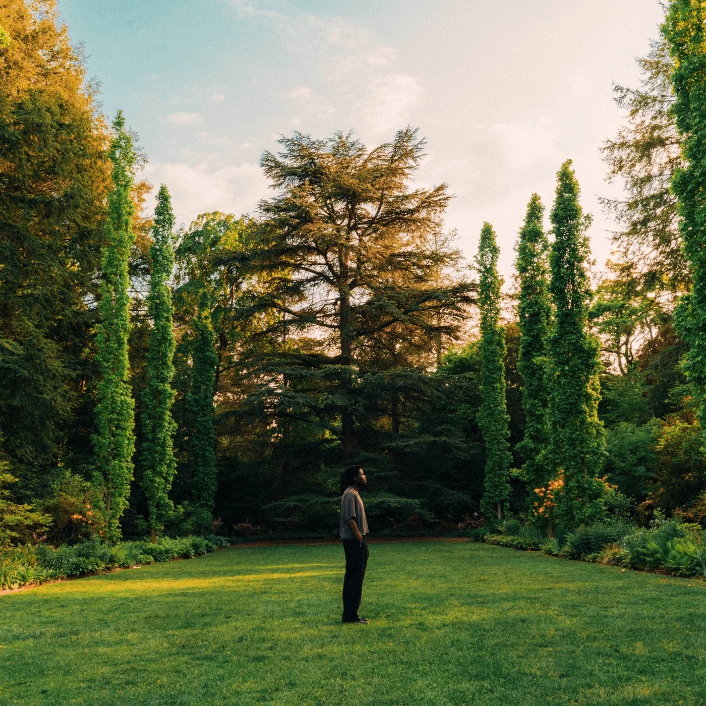 Will Kobus standing alone on a lawn between tall trees, from the TWO A DAZE cover