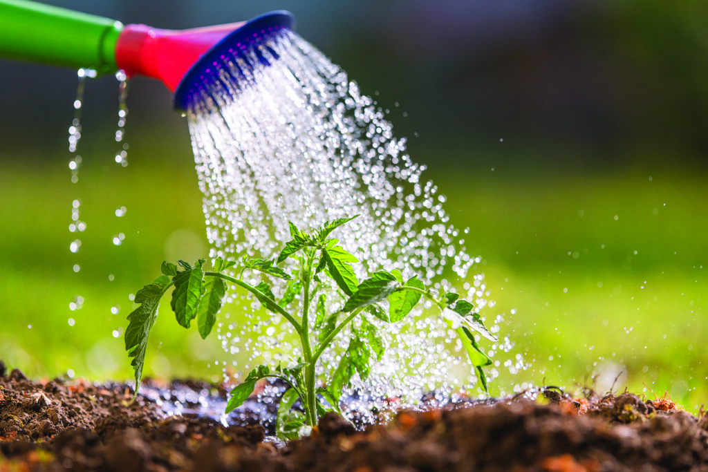 <h3><strong>(BONUS) OPTION 4</strong></h3><p></p><h3>LIFELINE&nbsp;<strong><span style="font-family: Montserrat">"PAY IT FORWARD"</span></strong></h3>