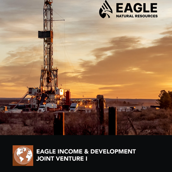 Income and Development Joint Venture I