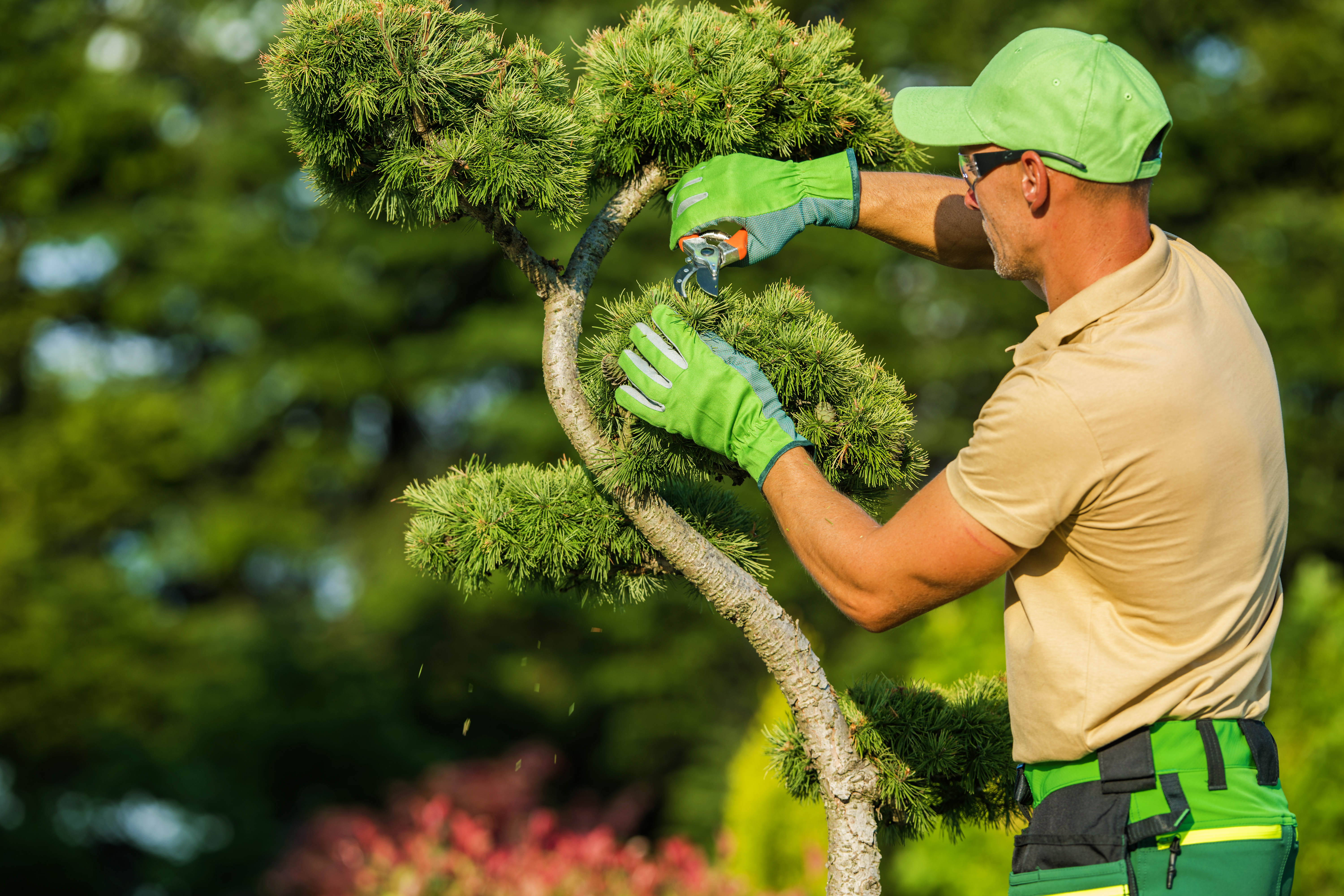 Willett Tree Service crew