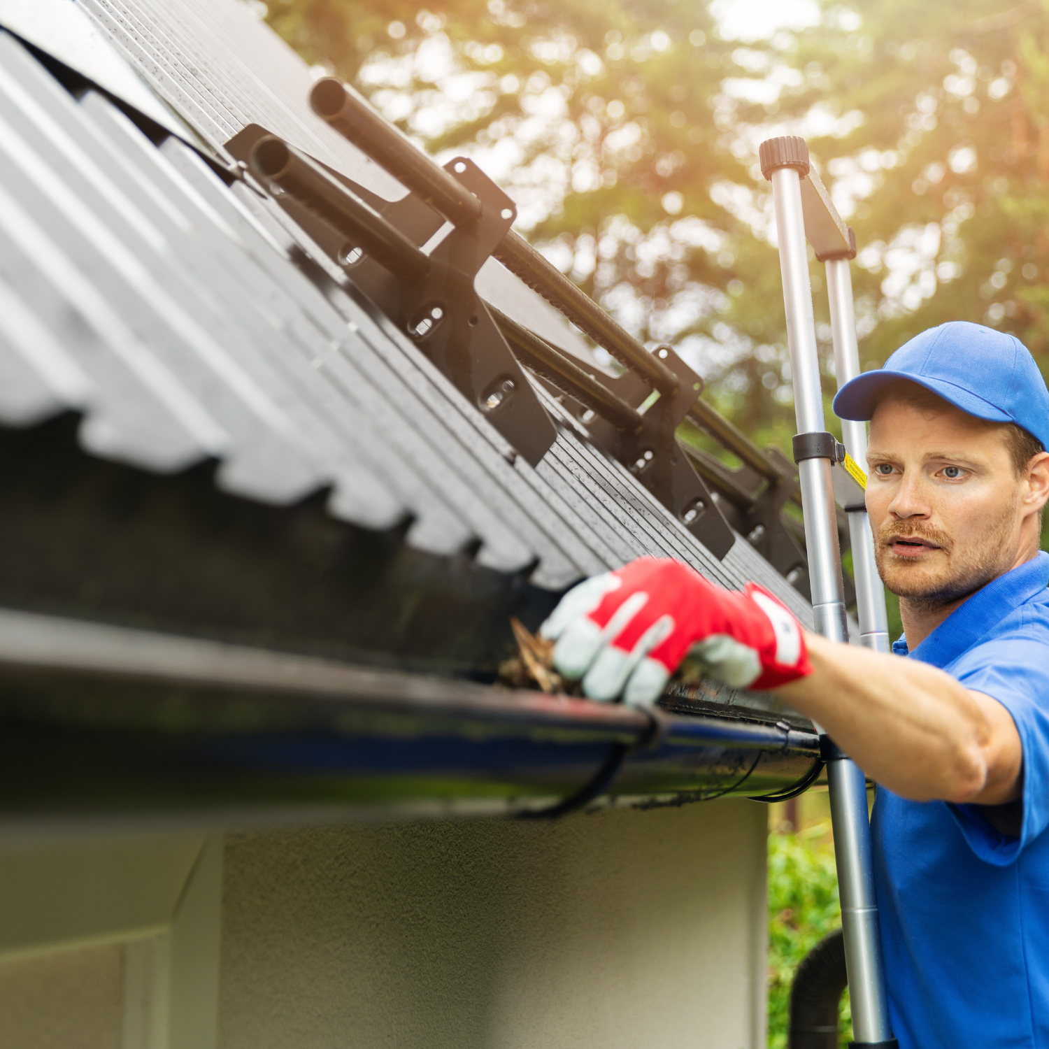Gutter cleaning