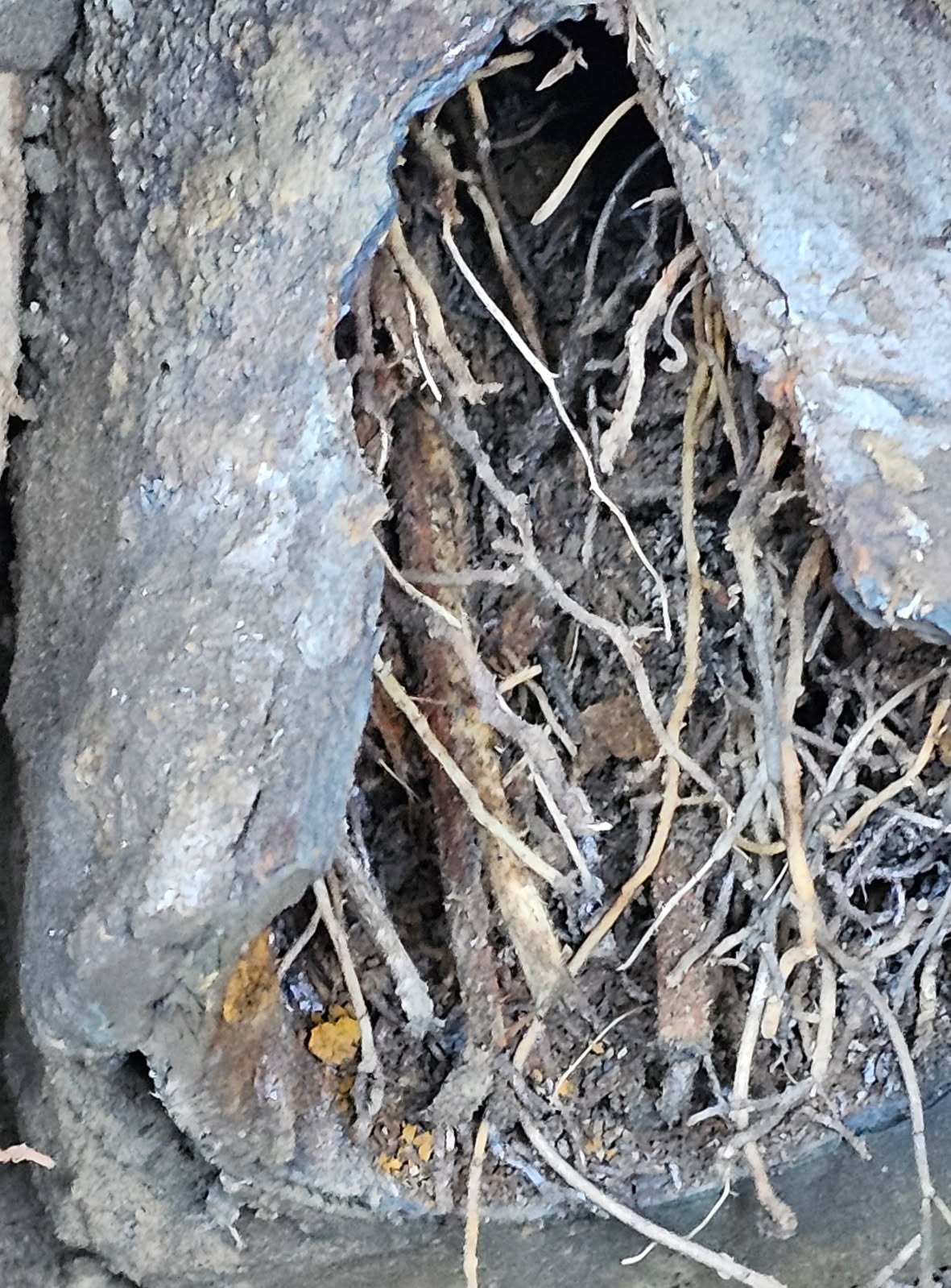 Gas Repair or Replacement Sacramento County