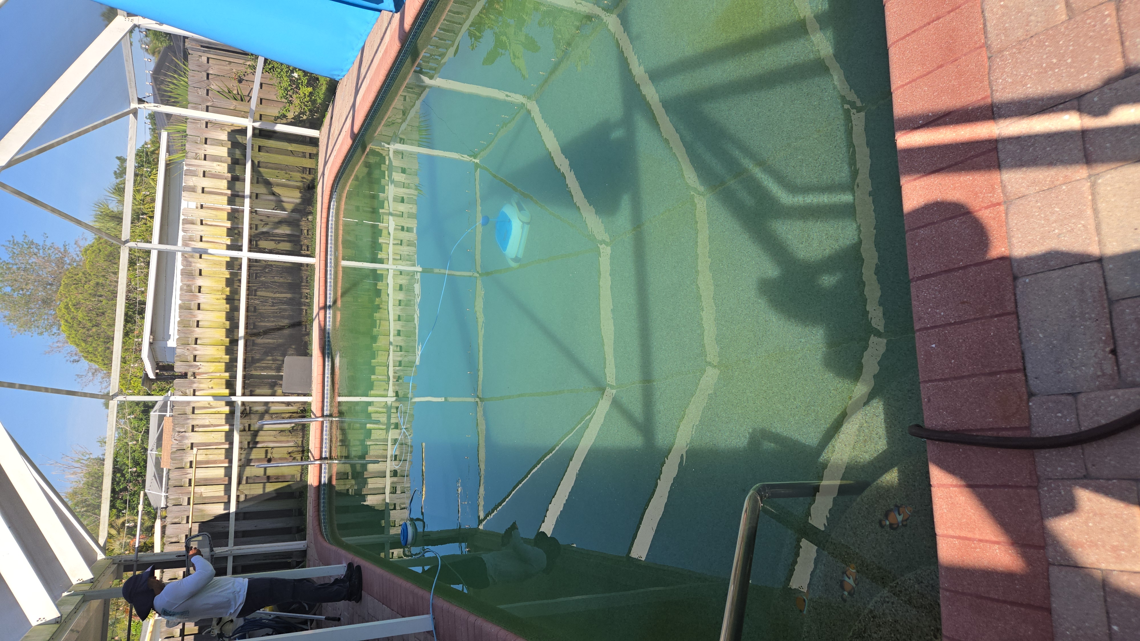 Green algae pool before cleaning in Sarasota FL