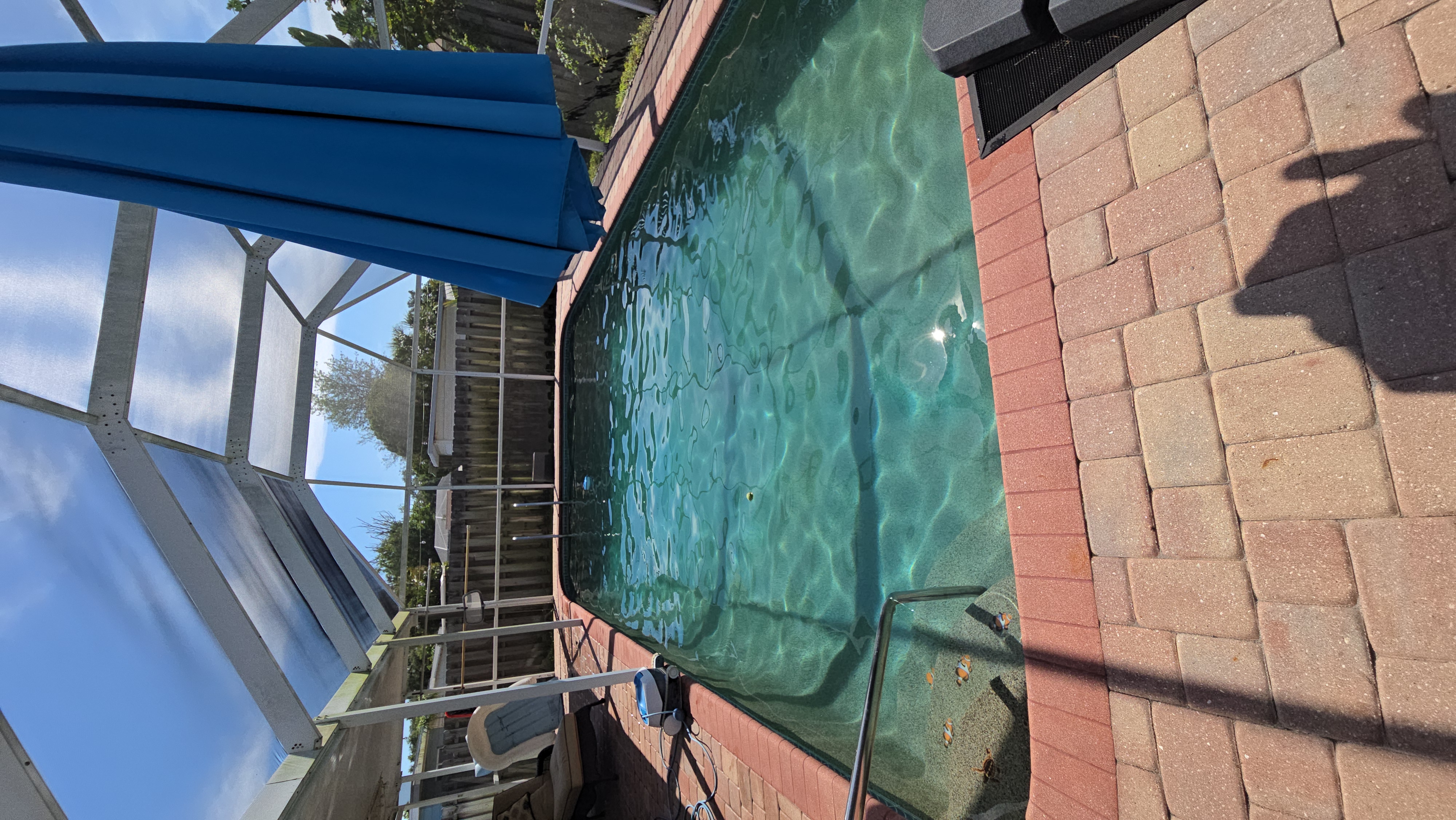 Crystal clear pool after green pool recovery by Triton Professional Pool Services in Sarasota FL