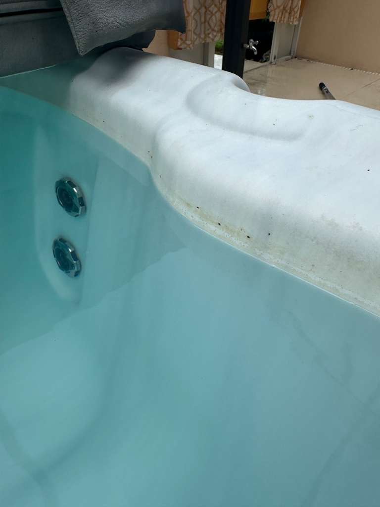 Green murky pool before treatment in Sarasota FL