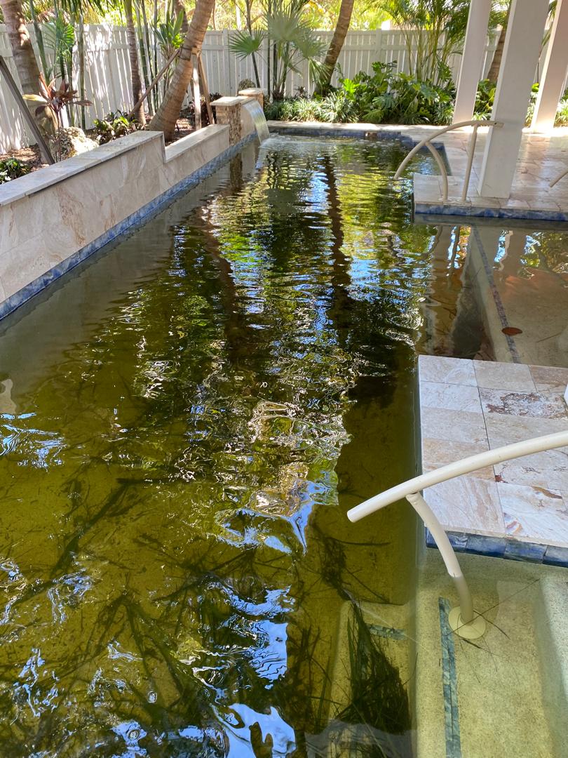 Storm-damaged debris-filled pool before hurricane cleanup in Sarasota FL