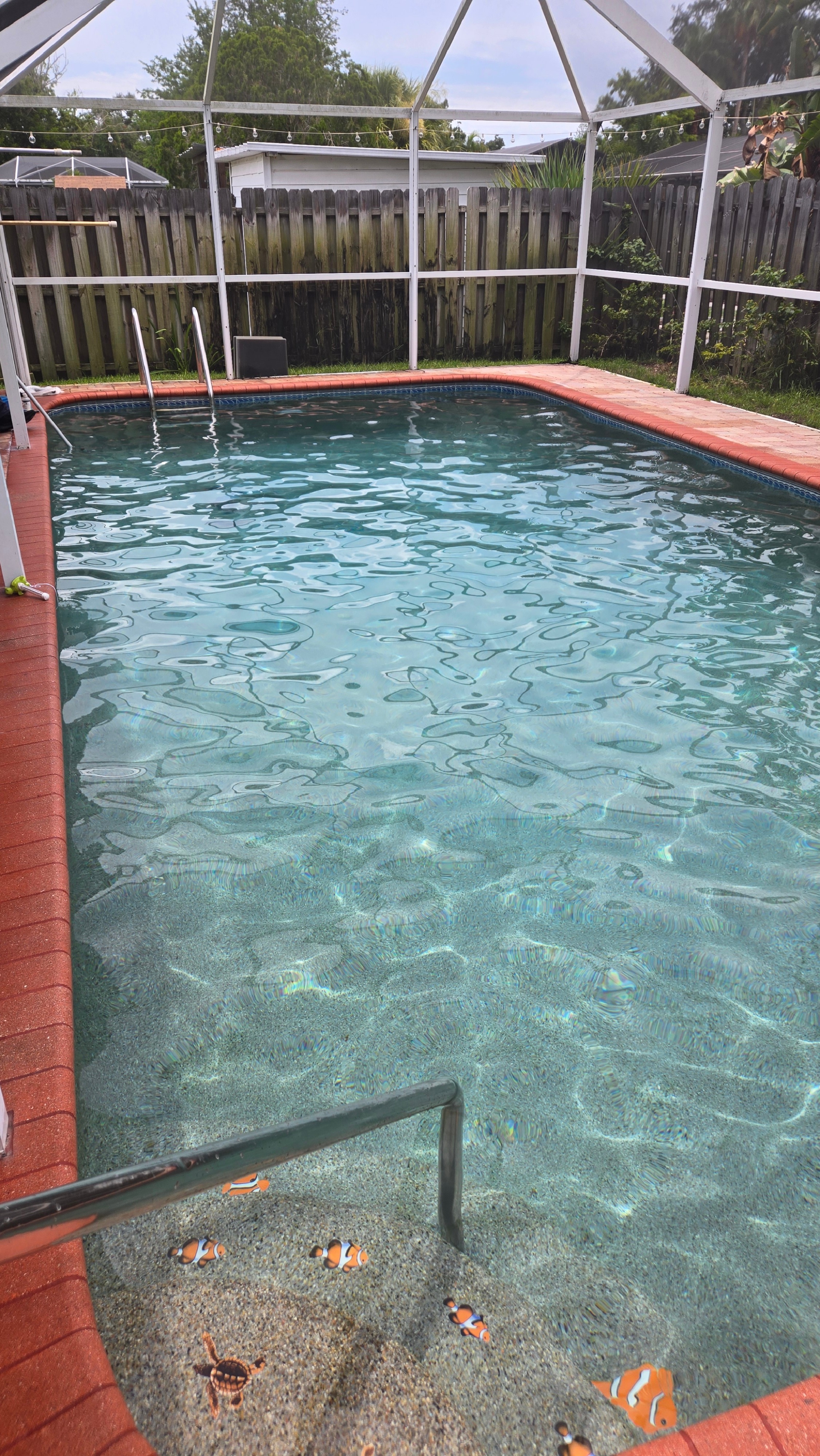 Crystal clear pool after green pool recovery by Triton Professional Pool Services in Sarasota FL
