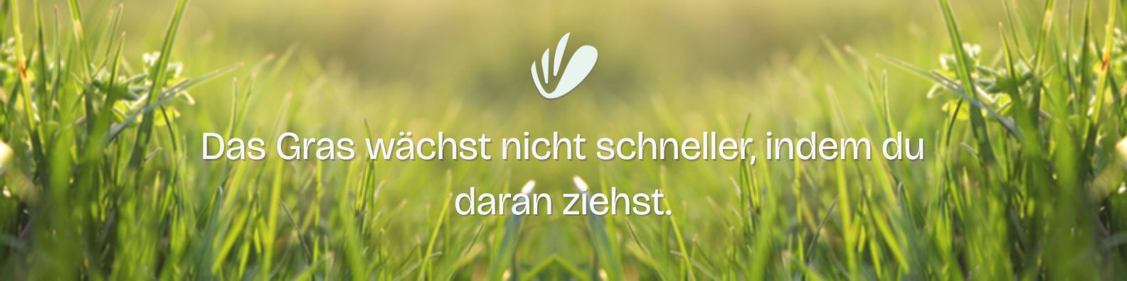 Deutsches Sprichwort "Das Gras wächst nicht schneller indem man daran zieht." Bild mit Gras im Hintergrund Deutsches Sprichwort "Das Gras wächst nicht schneller indem man daran zieht." Bild mit Gras im Hintergrund