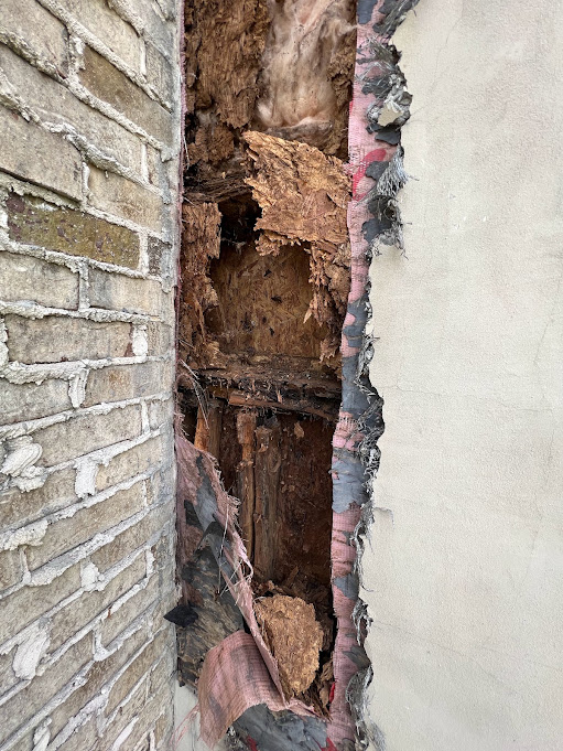 Wall opened between brick and stucco showing rotted framing behind failed flashing