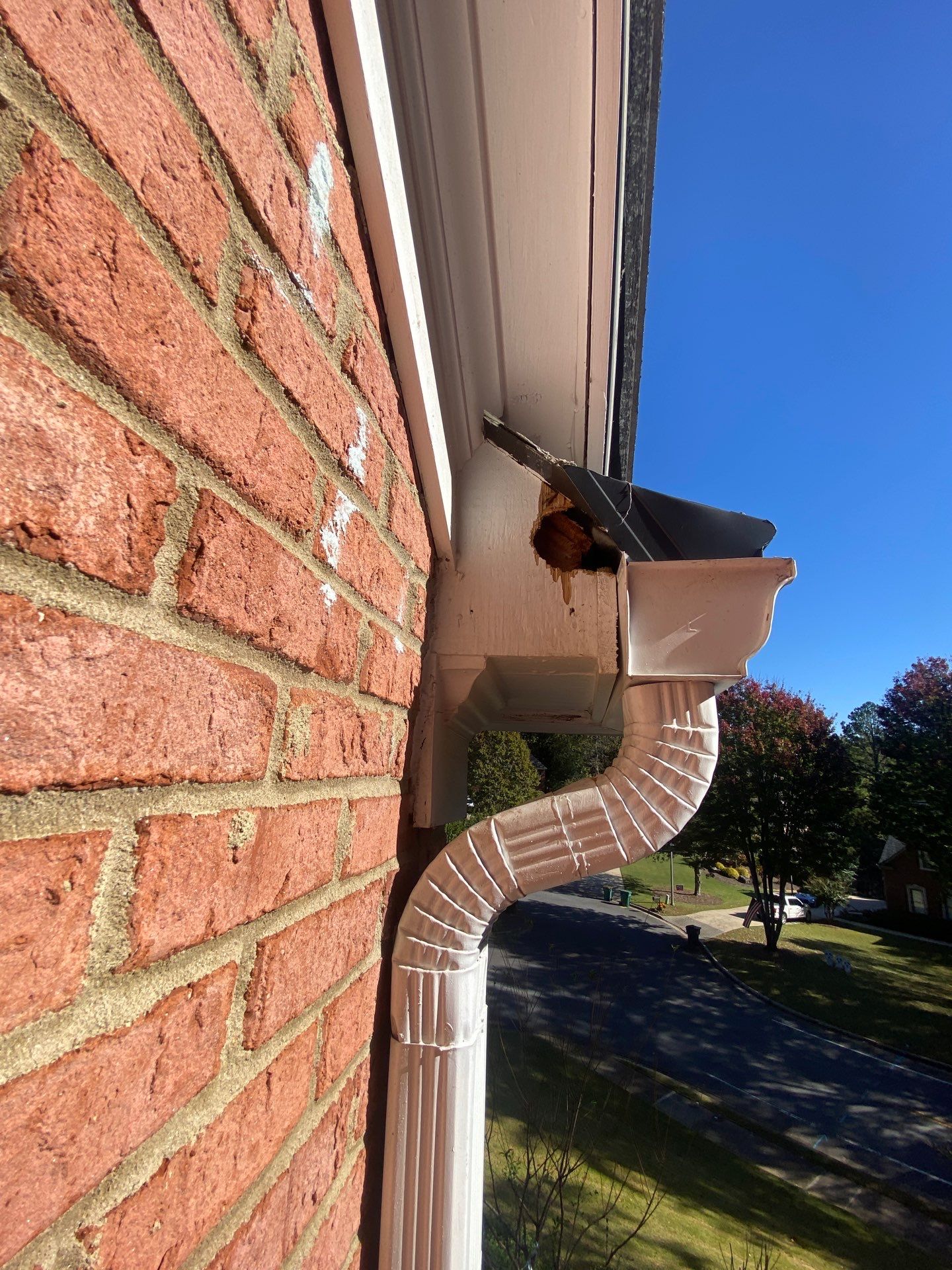 Gutter and downspout running along a red brick wall at the roofline, with a squirrel sitting in the open gutter