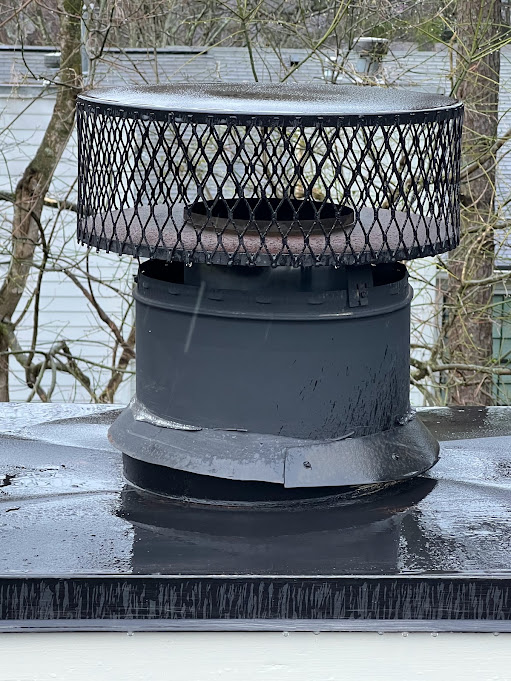 Black mesh chimney cap seated on a gray chase cover with bare trees behind