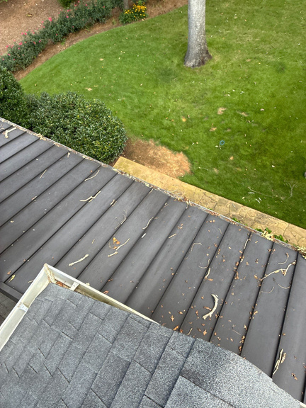 Dark metal roof panels above a gutter line with a green lawn and mature trees below