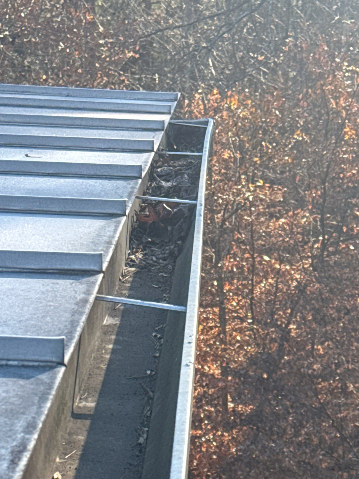 Silver galvanized standing seam panels running to a gutter line with bare winter trees behind