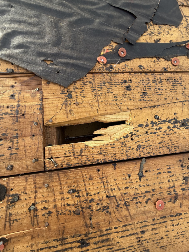 Rotted roof decking with a hole punched through the plywood next to a rafter