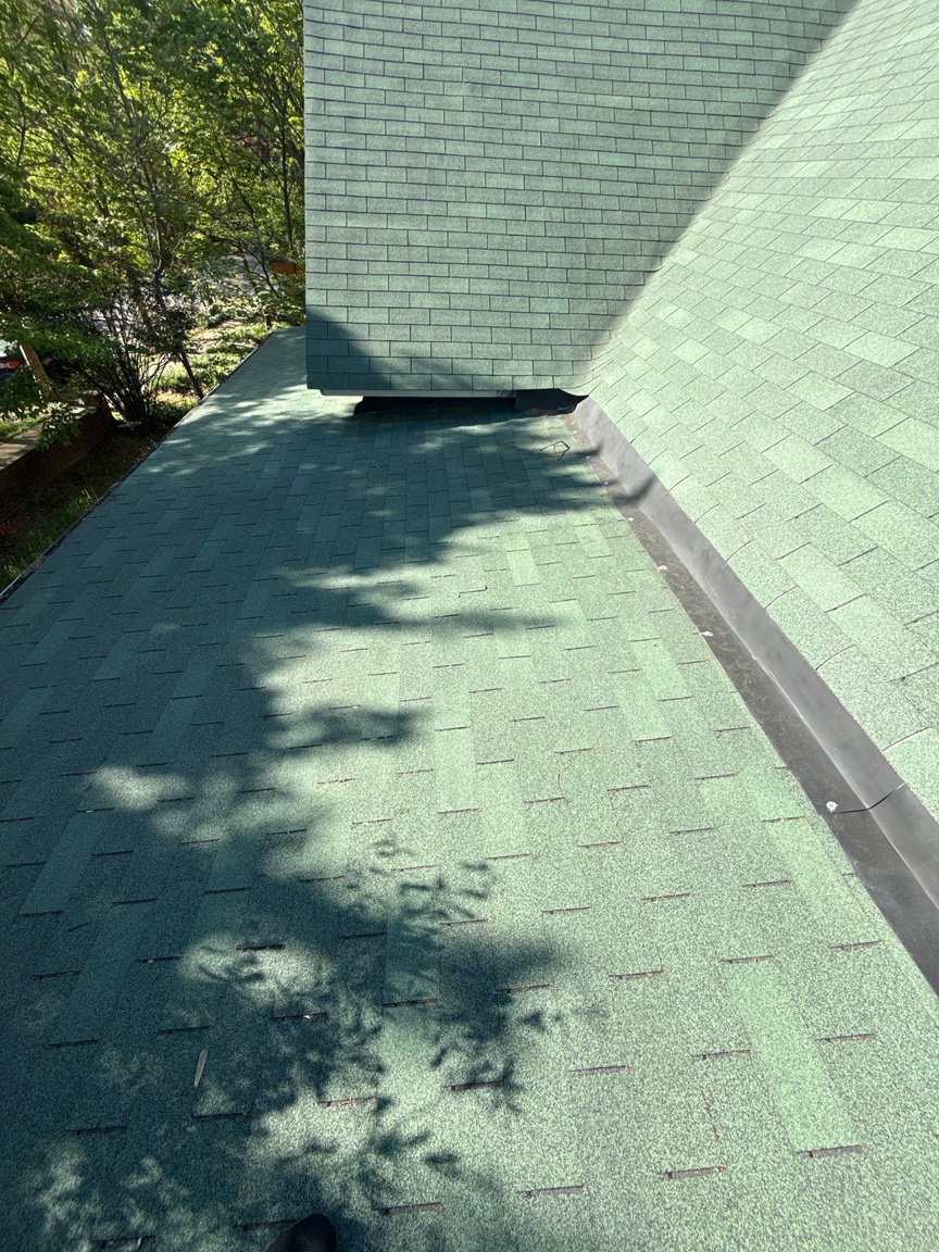 Green shingle roof meeting a low slope flat roof section on a wooded lot
