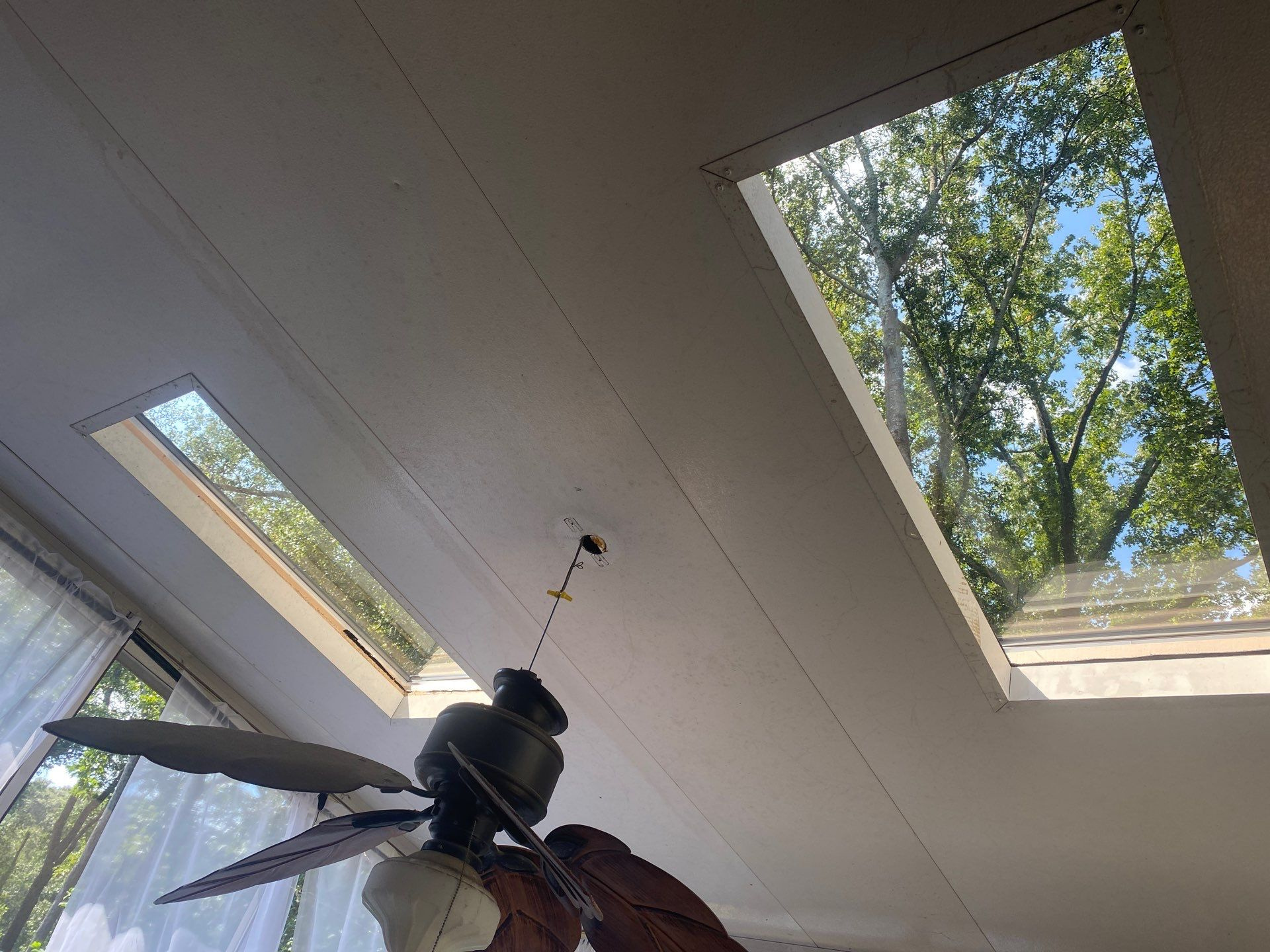 Two skylights over a living room ceiling fan, seen from below with trees visible through the glass
