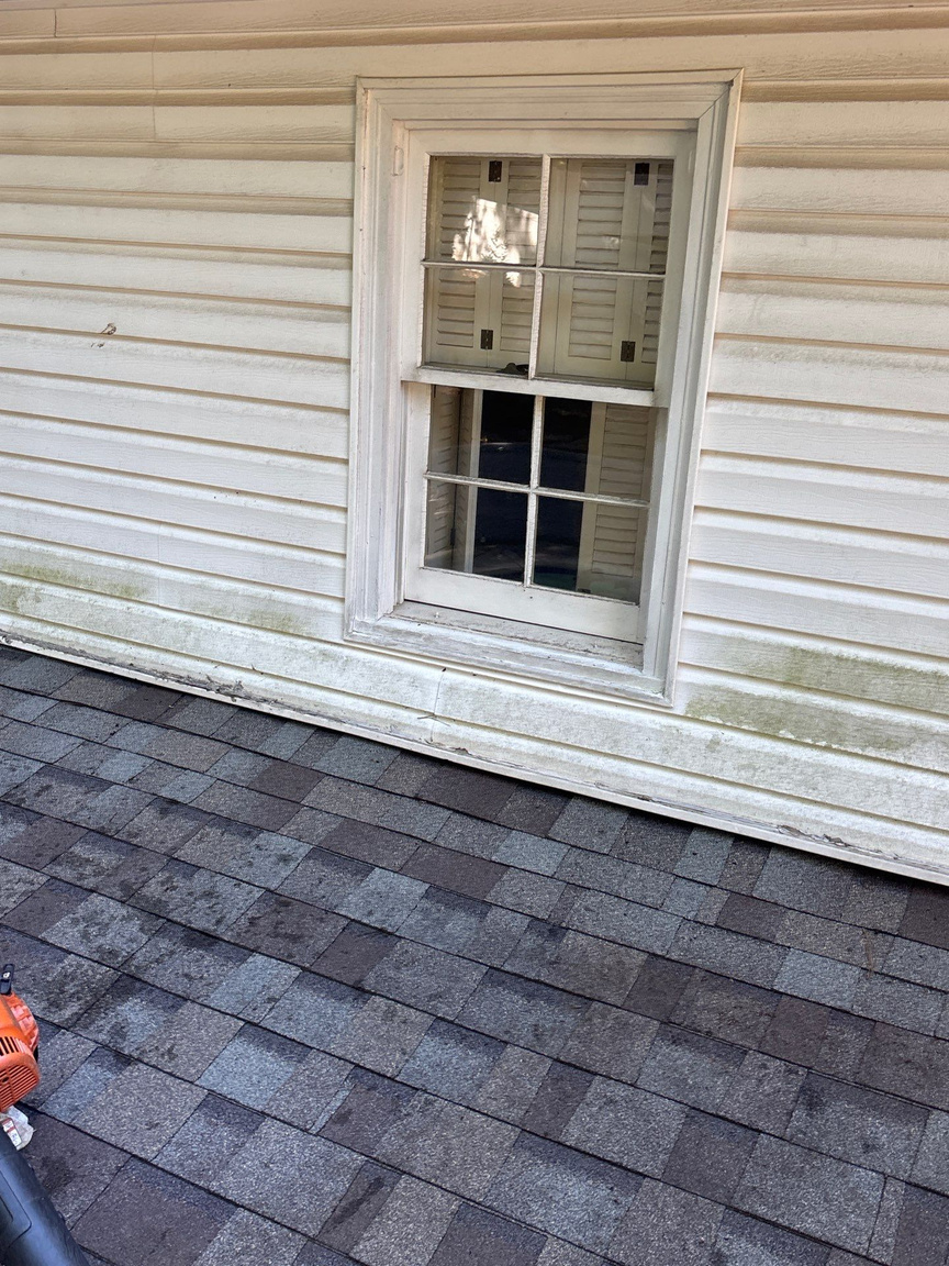 Roof-level view of siding panels near a window showing algae and mildew staining