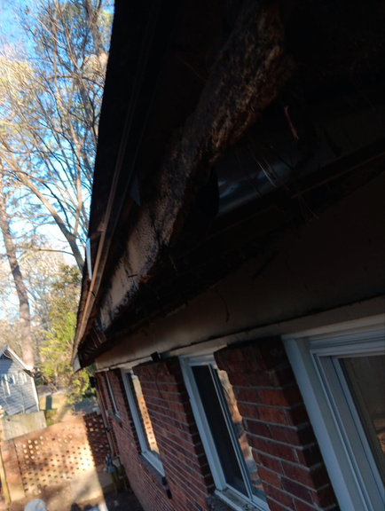 Sagging gutter pulling away from a rotted fascia board