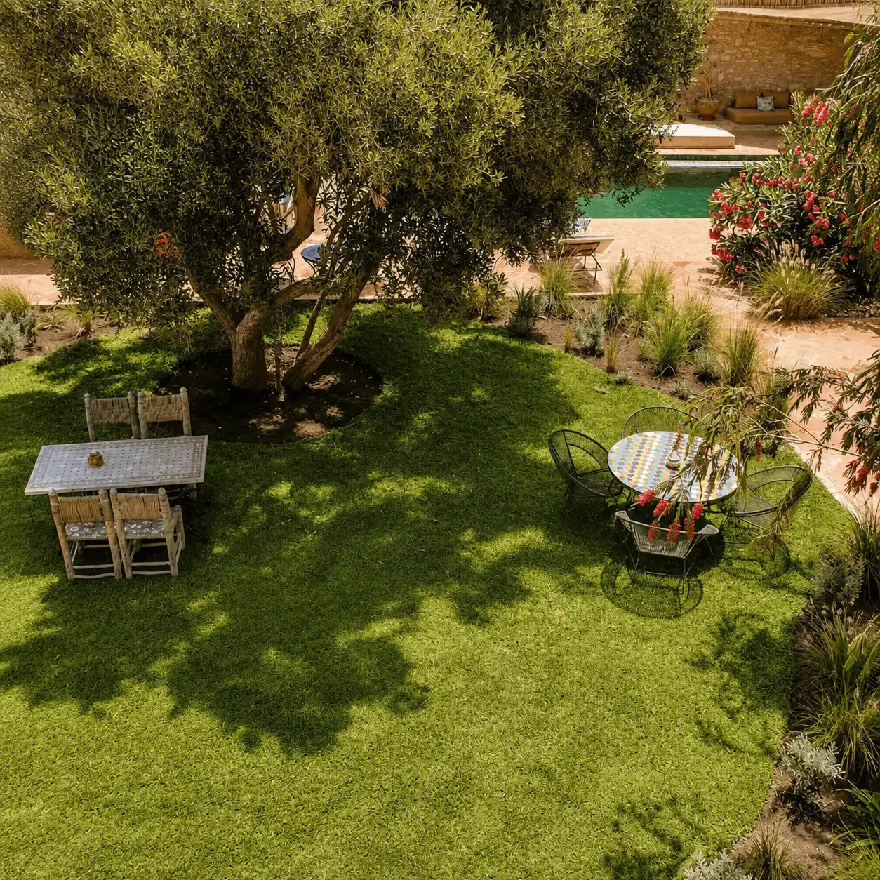 Jardin luxuriant de Maison Tikida à Essaouira avec palmiers et verdure