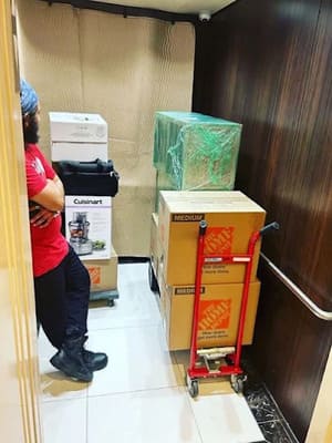 {{ custom_values.service_3 }} in {{custom_values.area_5})