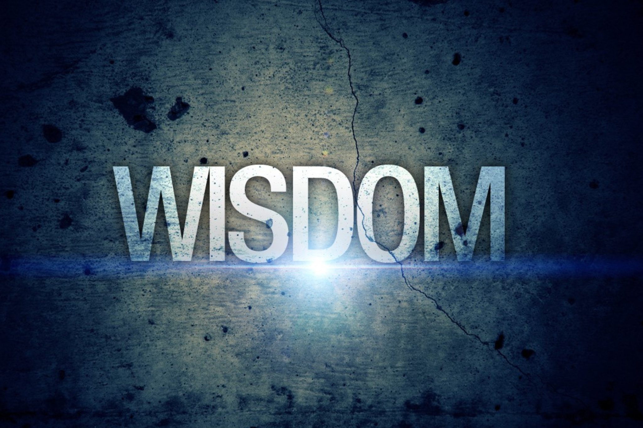 green plant in clear glass cup