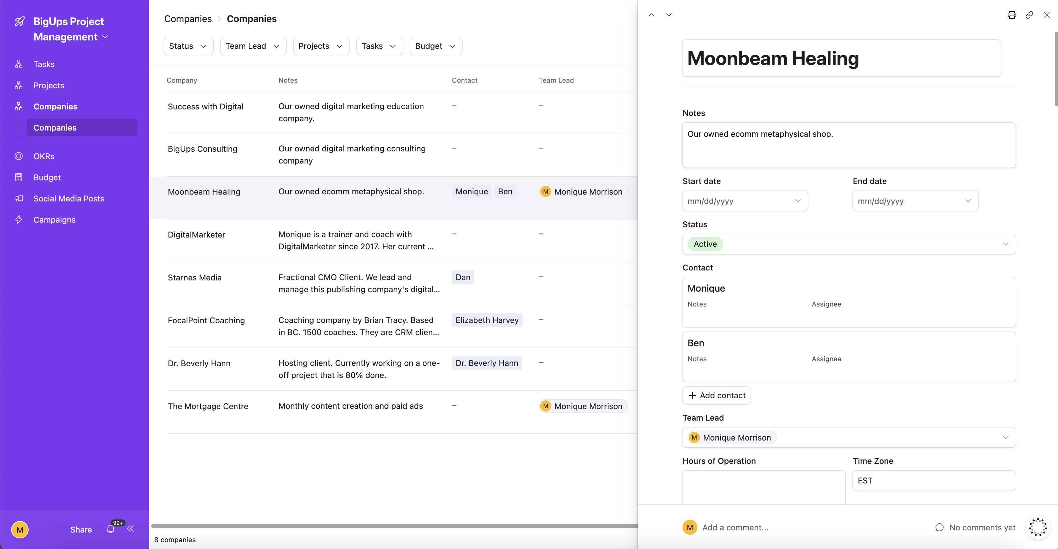 Project record detail — assignee, dates, status, and linked assets