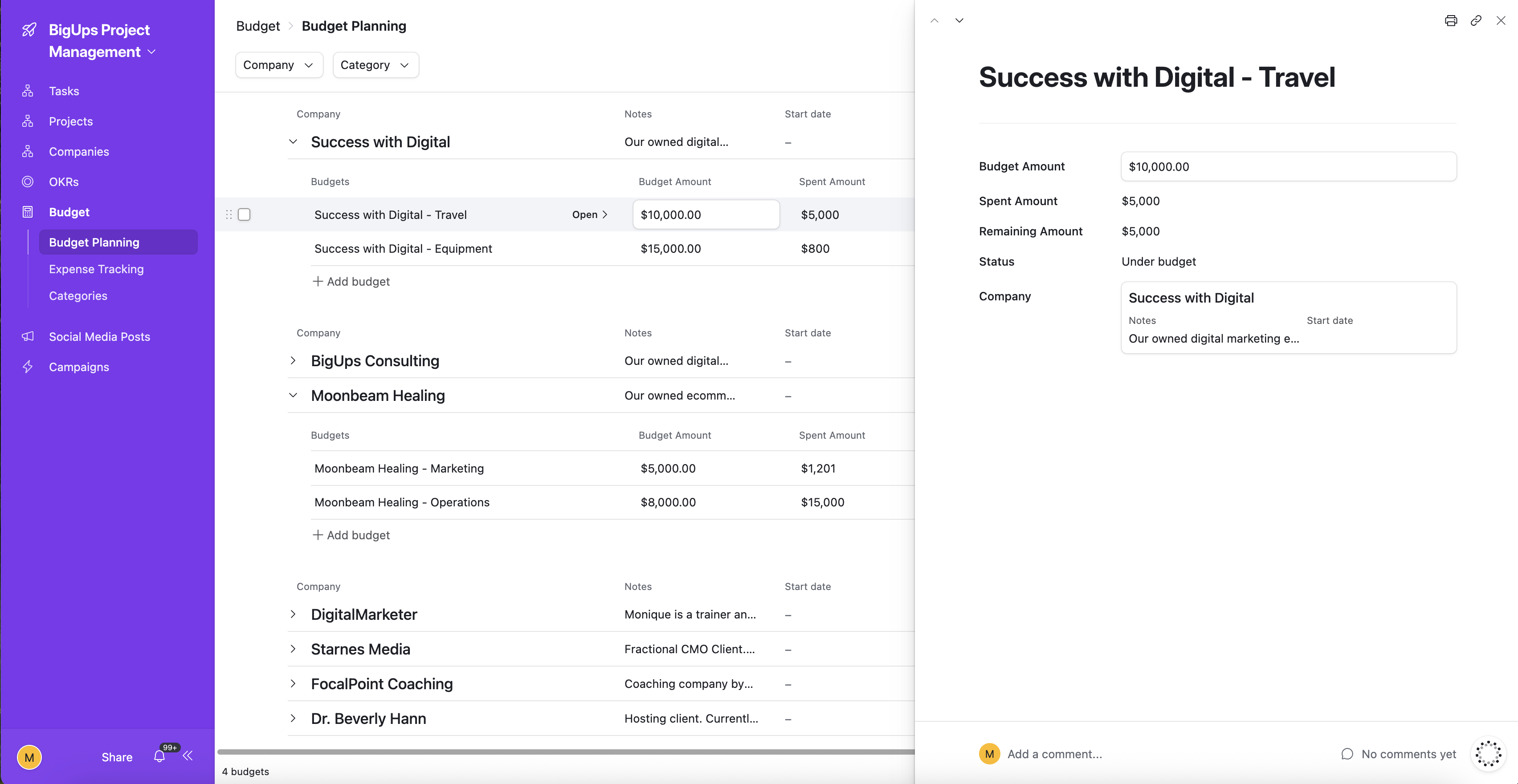 Budget Planning — all companies tracked with status and project linkage