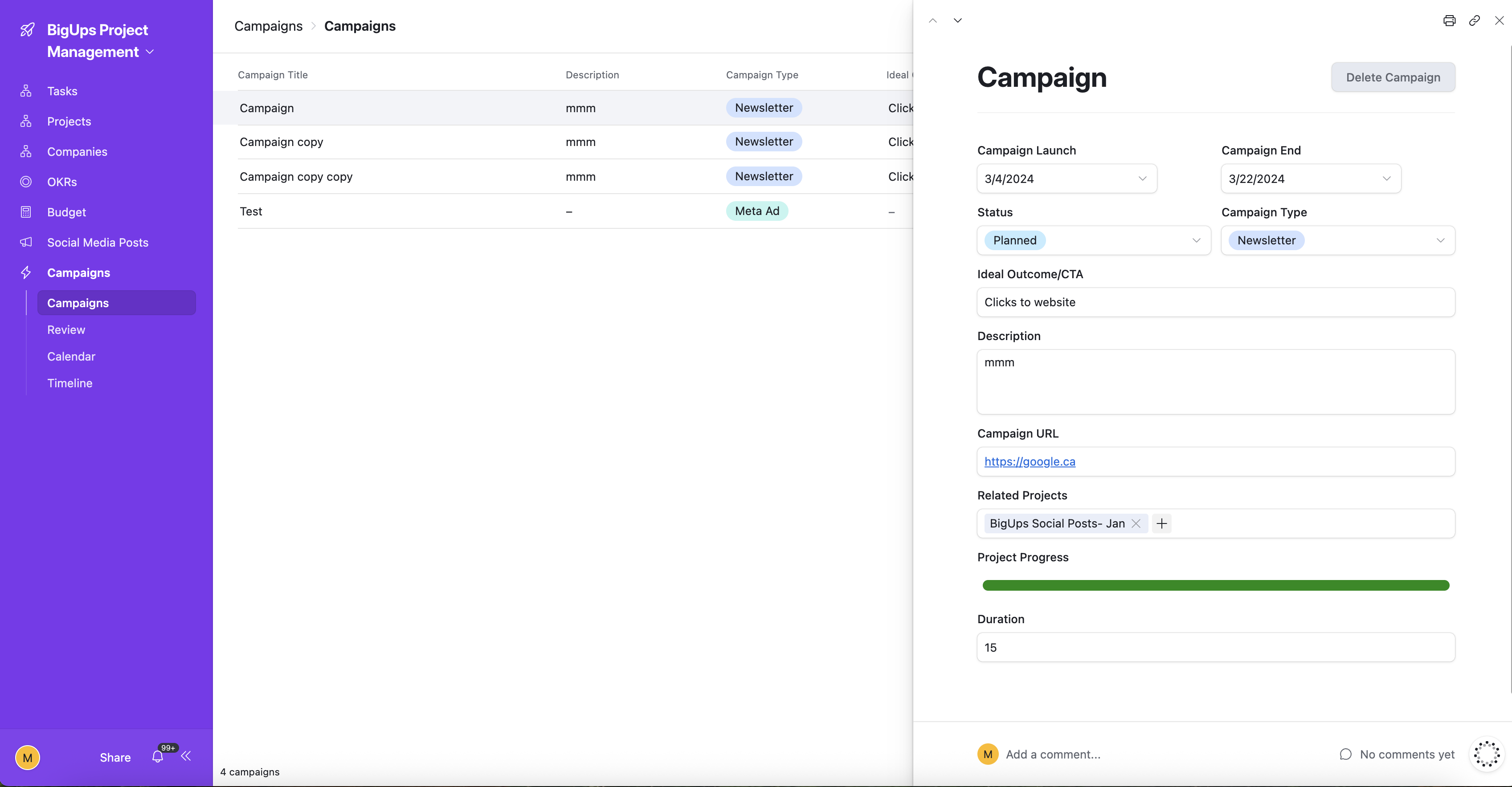 Campaign Management — type, dates, status, CTA, URL, and linked projects